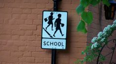 A 'school' road sign against a wall