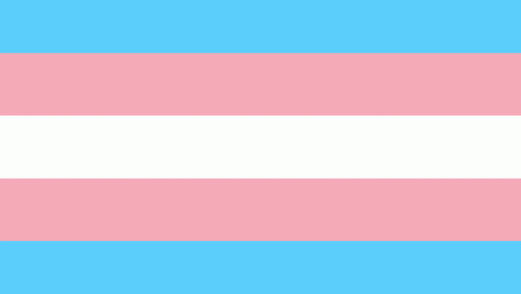 Trans flag in pale blue, pink and white