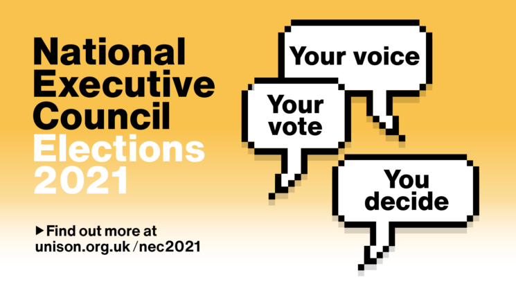 NEC 2021 election graphic