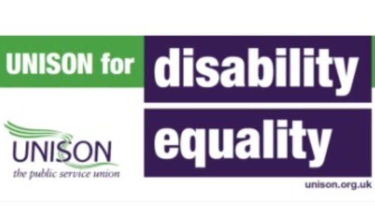 Logo - UNISON for disability equality