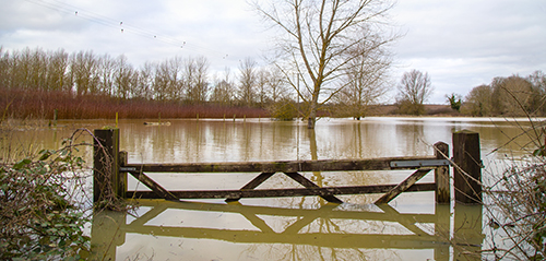 Flood water in fields, UK countryside, 2021. Climate change, extreme weather, global warming. Global floods risk under climate change. Flooded wooden filed gate